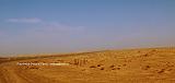 20 NOUADHIBOU-TRENO DELLA SNIM PER ZOUERAT 5